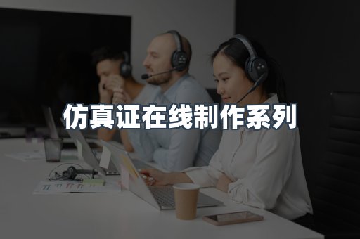 仿真证在线制作